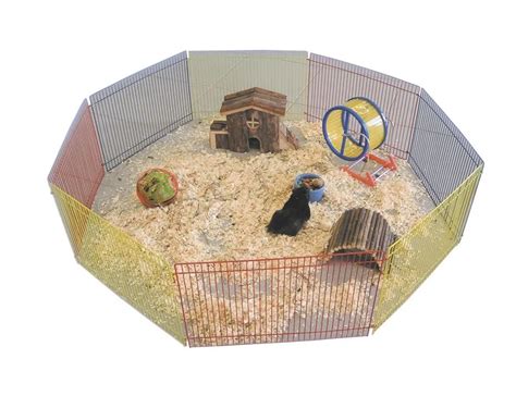 hamster play yard